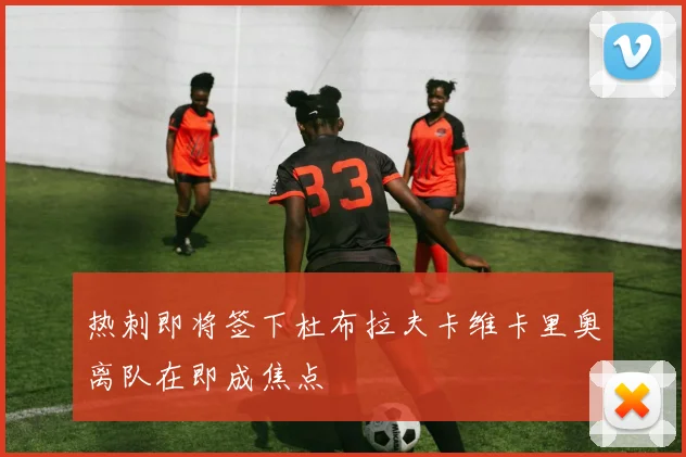 热刺即将签下杜布拉夫卡维卡里奥离队在即成焦点